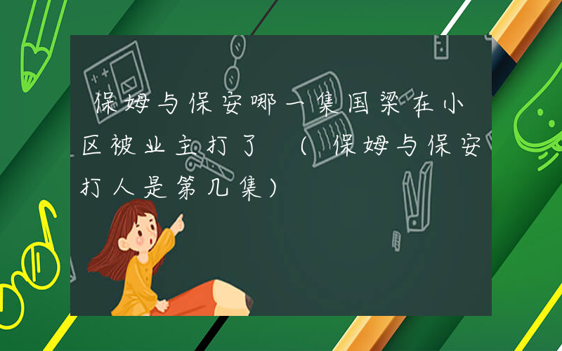 保姆与保安哪一集国梁在小区被业主打了 (保姆与保安打人是第几集)